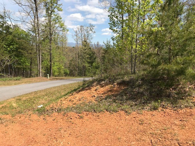 Lot 29 Brasstown View Road Murphy, NC 28906 - Photo 7 of 11