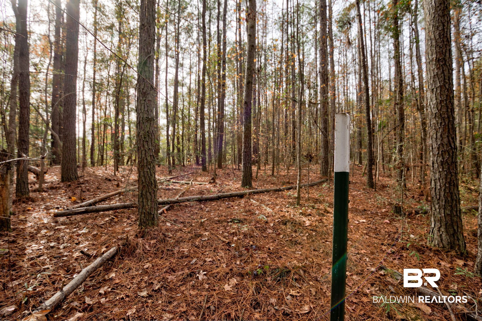 Old Greenville Road Evergreen, AL 36401 - Photo 4 of 16