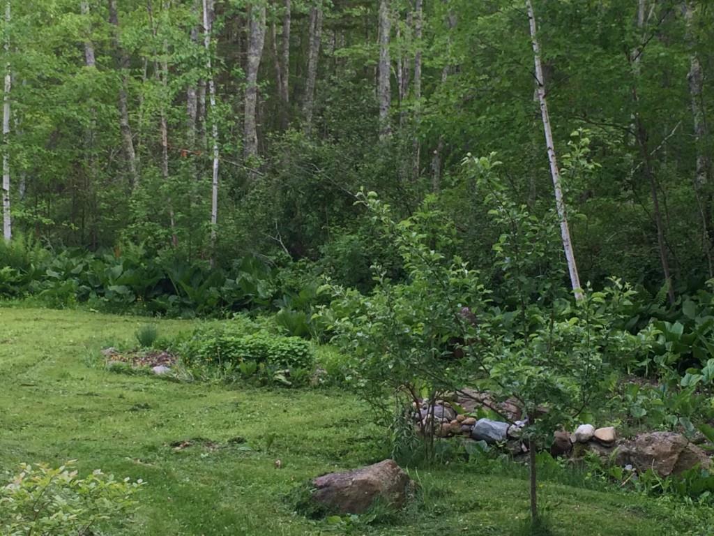 141 Patterson Mill Road Warren, ME 04864 - Photo 21 of 23 Photo