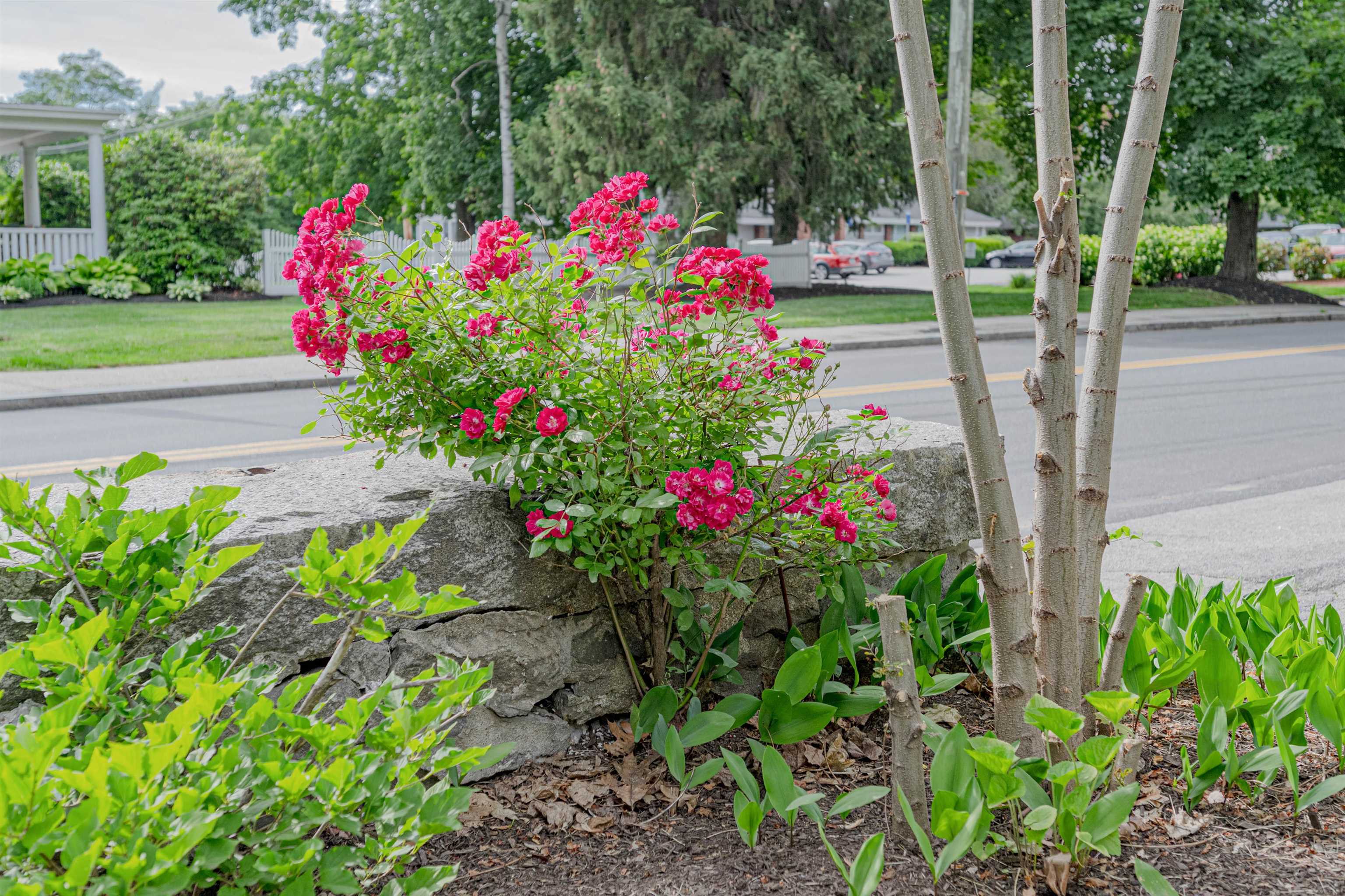 225 River Road Manchester, NH 03104 - Photo 23 of 24 Gallery Image 23
