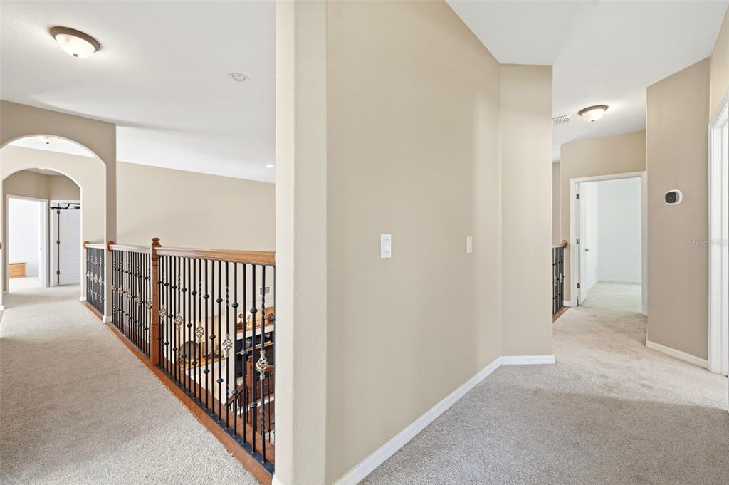 3449 Loggerhead Way Wesley Chapel, FL 33544 - Photo 33 of 52