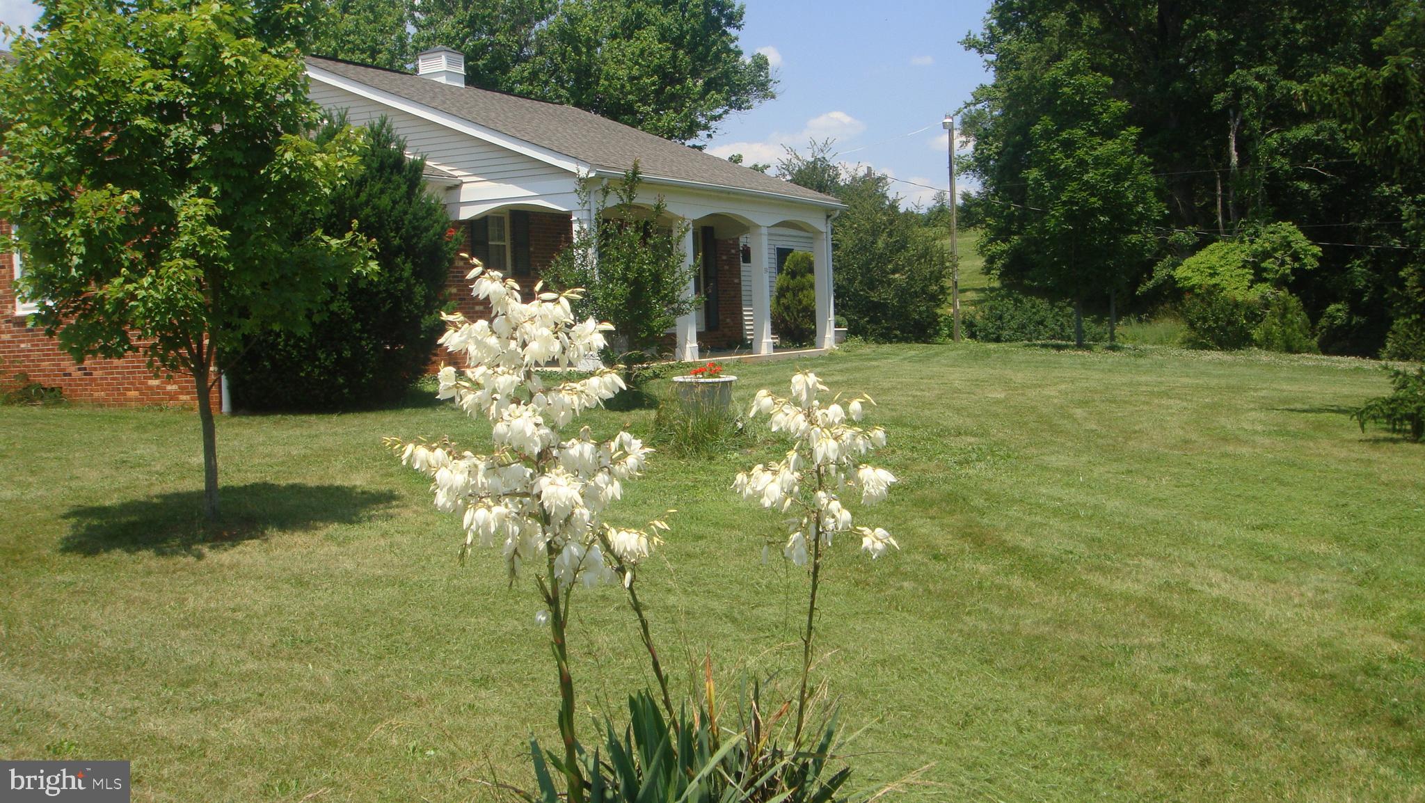 39 Sharp Rock Road Sperryville, VA 22740 - Photo 6 of 21 a view of a house with a yard