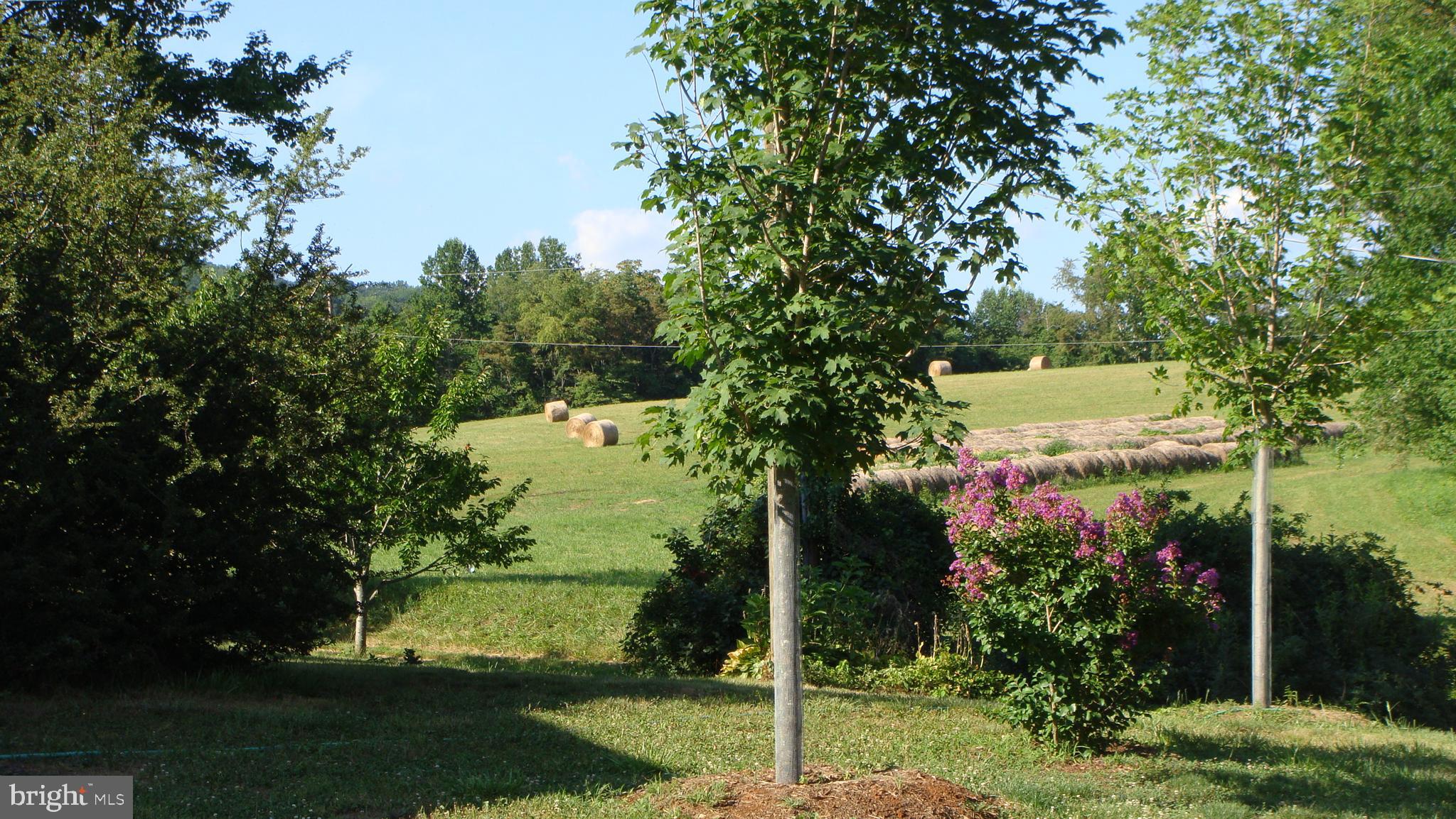 39 Sharp Rock Road Sperryville, VA 22740 - Photo 7 of 21