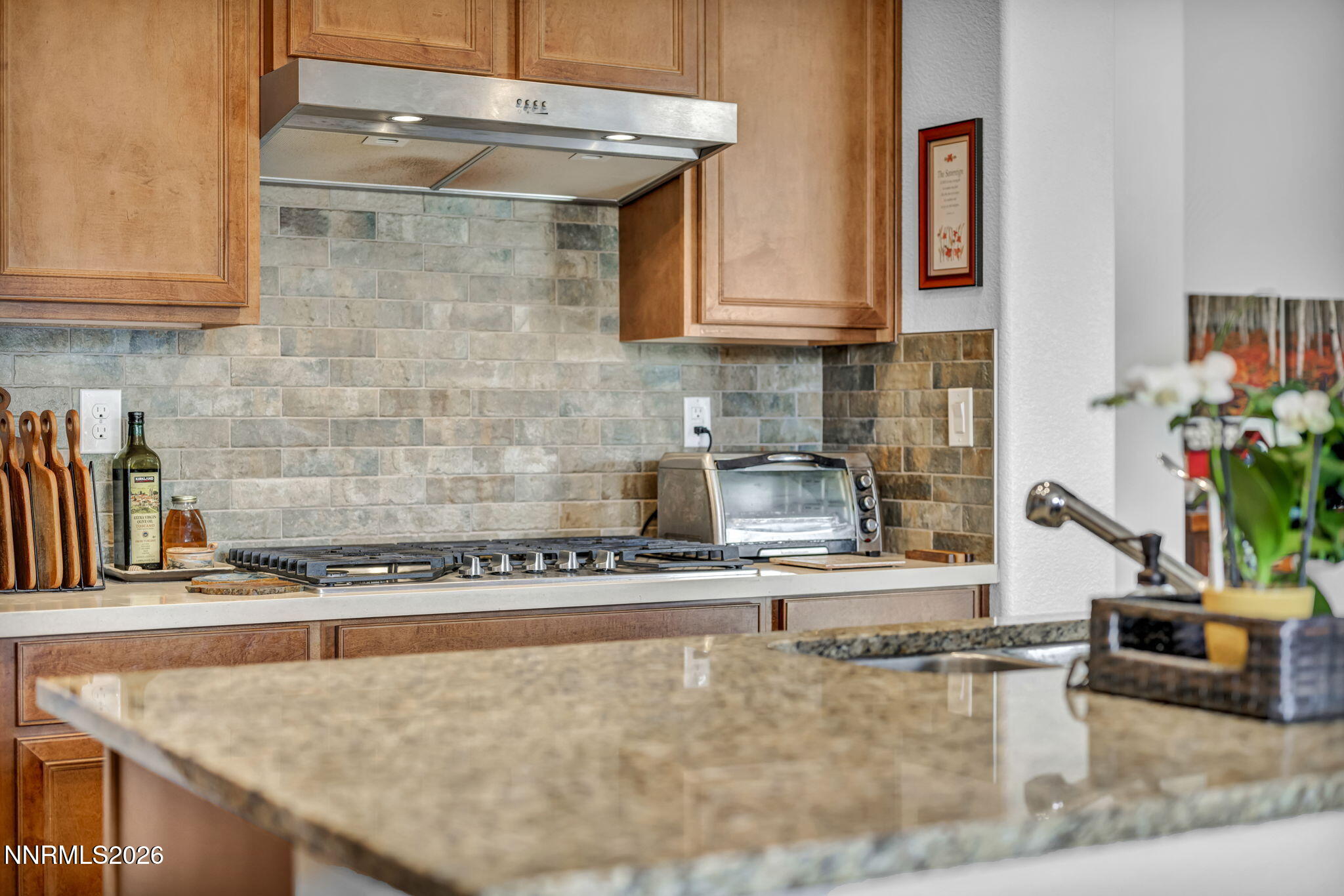 2010 Phaethon Lane Reno, NV 89521 - Photo 19 of 59 60-web-or-mls-2010-phaethon-ln