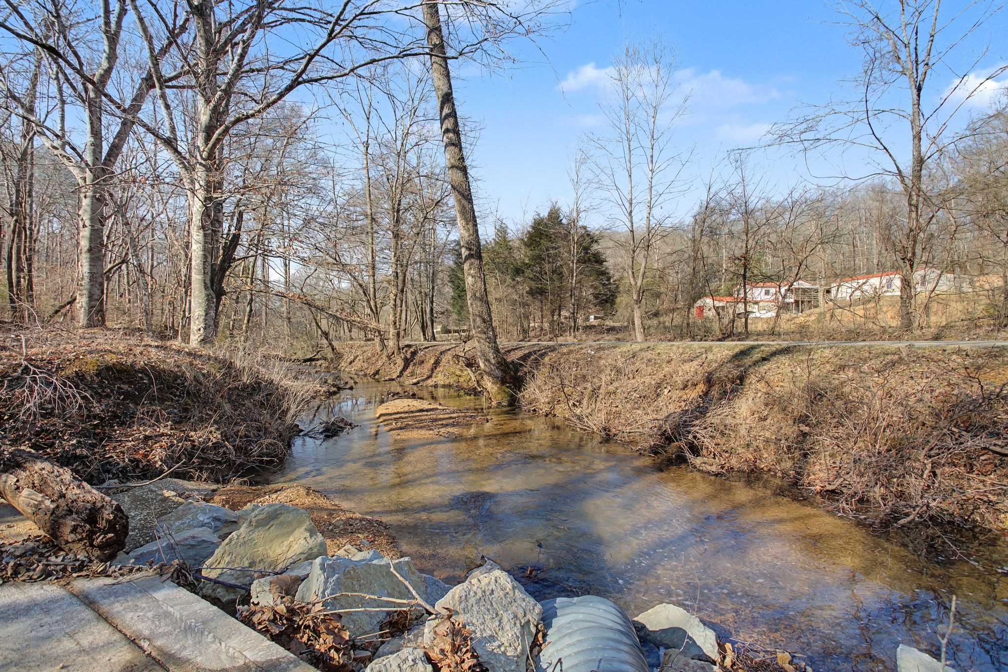 405 Napier Road Hohenwald, TN 38462 - Photo 21 of 37 a view of outdoor space and yard