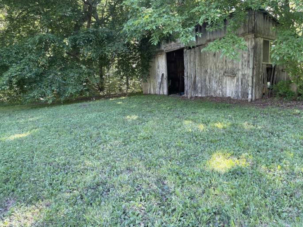 405 Napier Road Hohenwald, TN 38462 - Photo 32 of 37 a view of backyard with green space