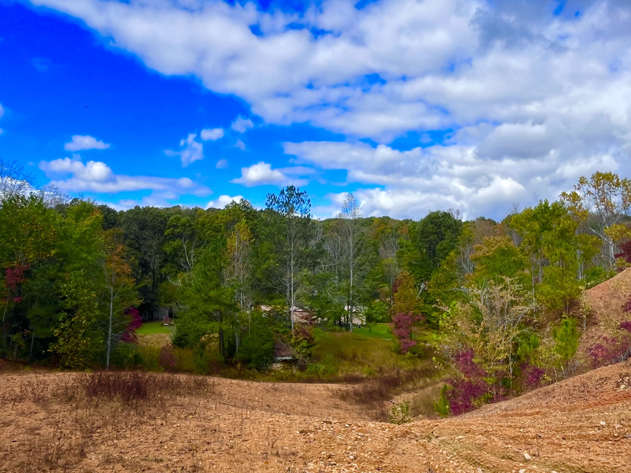 405 Napier Road Hohenwald, TN 38462 - Photo 33 of 37 a view of a yard with wooden fence