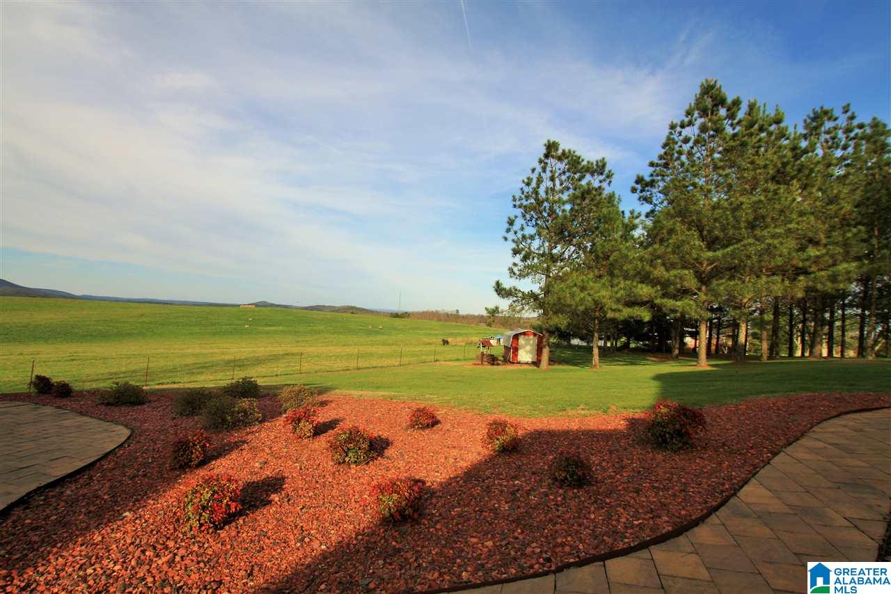 324 Mountain View Road Lineville, AL 36266 - Photo 49 of 50