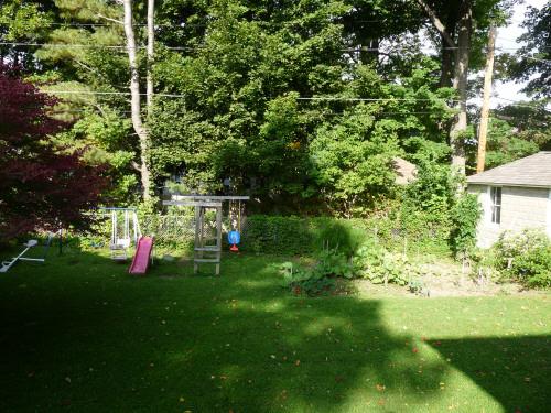 84 Northumberland Road Pittsfield, MA 01201 - Photo 12 of 12 Back yard