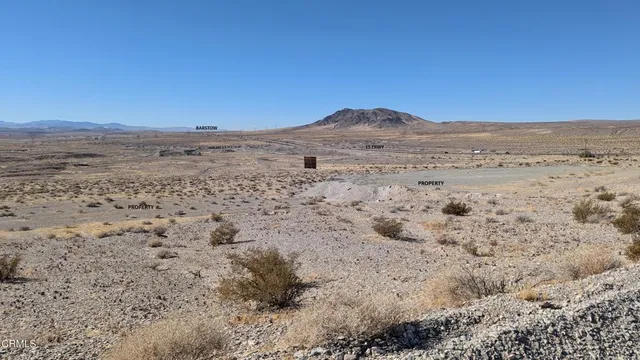 a view of a dry yard with mountain and trees