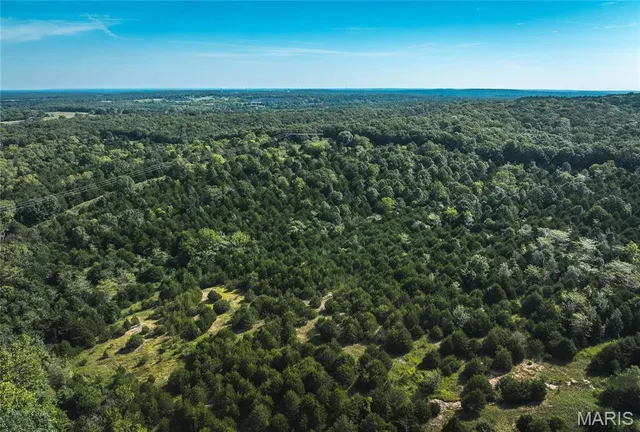 $300,000 | 0 Sapphire Drive, Laquey, MO 65534