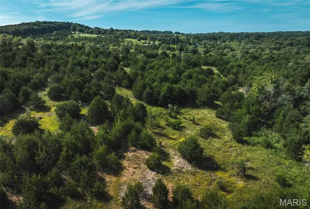 $300,000 | 0 Sapphire Drive, Laquey, MO 65534