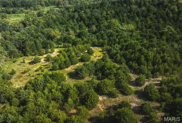 $300,000 | 0 Sapphire Drive, Laquey, MO 65534