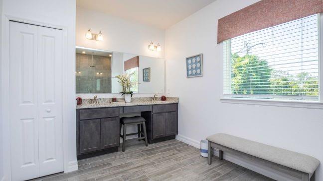 17641 Northwest 168th Road Alachua, FL 32615 - Photo 11 of 19 a bathroom with a sink a mirror and a window