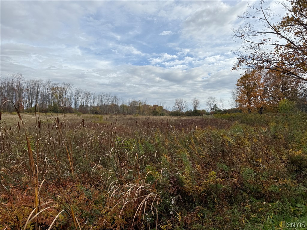11033 Francis Road Remsen, NY 13438 - Photo 27 of 32
