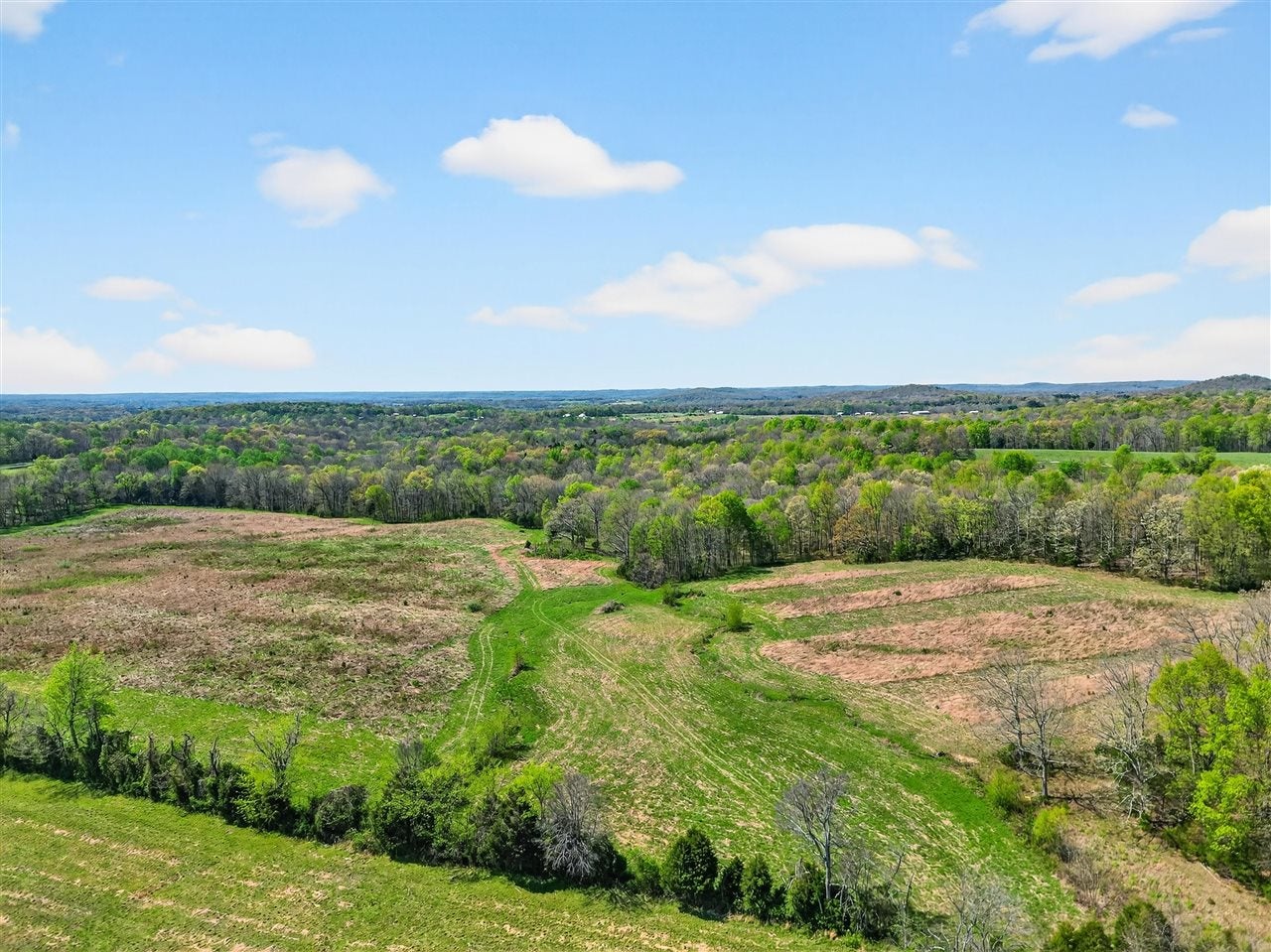 0 Coopertown Road Russellville, KY 42276 - Photo 5 of 17 Gallery Image 5