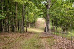 12814 Cranfield Road Birchwood, TN 37308 - Photo 2 of 9 a view of backyard with green space