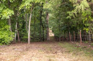 12814 Cranfield Road Birchwood, TN 37308 - Photo 3 of 9 a view of outdoor space and garden