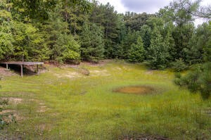 12814 Cranfield Road Birchwood, TN 37308 - Photo 4 of 9 a view of a lake view