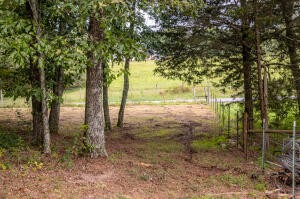 12814 Cranfield Road Birchwood, TN 37308 - Photo 5 of 9 a view of a yard with a tree