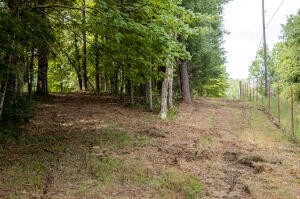 12814 Cranfield Road Birchwood, TN 37308 - Photo 6 of 9 a view of a yard with trees