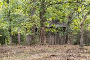 12814 Cranfield Road Birchwood, TN 37308 - Photo 7 of 9 a backyard of a house with lots of trees