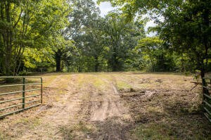 12814 Cranfield Road Birchwood, TN 37308 - Photo 8 of 9 a view of a yard with trees