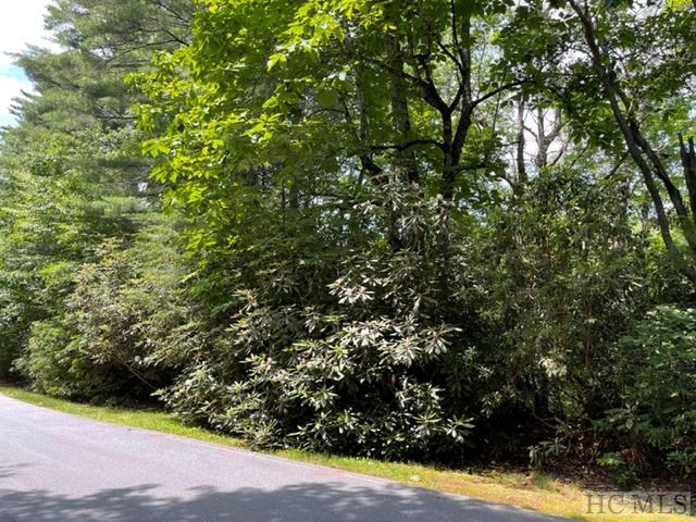 Lot 19 Holly Road Sapphire, NC 28774 - Photo 1 of 9 Gallery Image 1