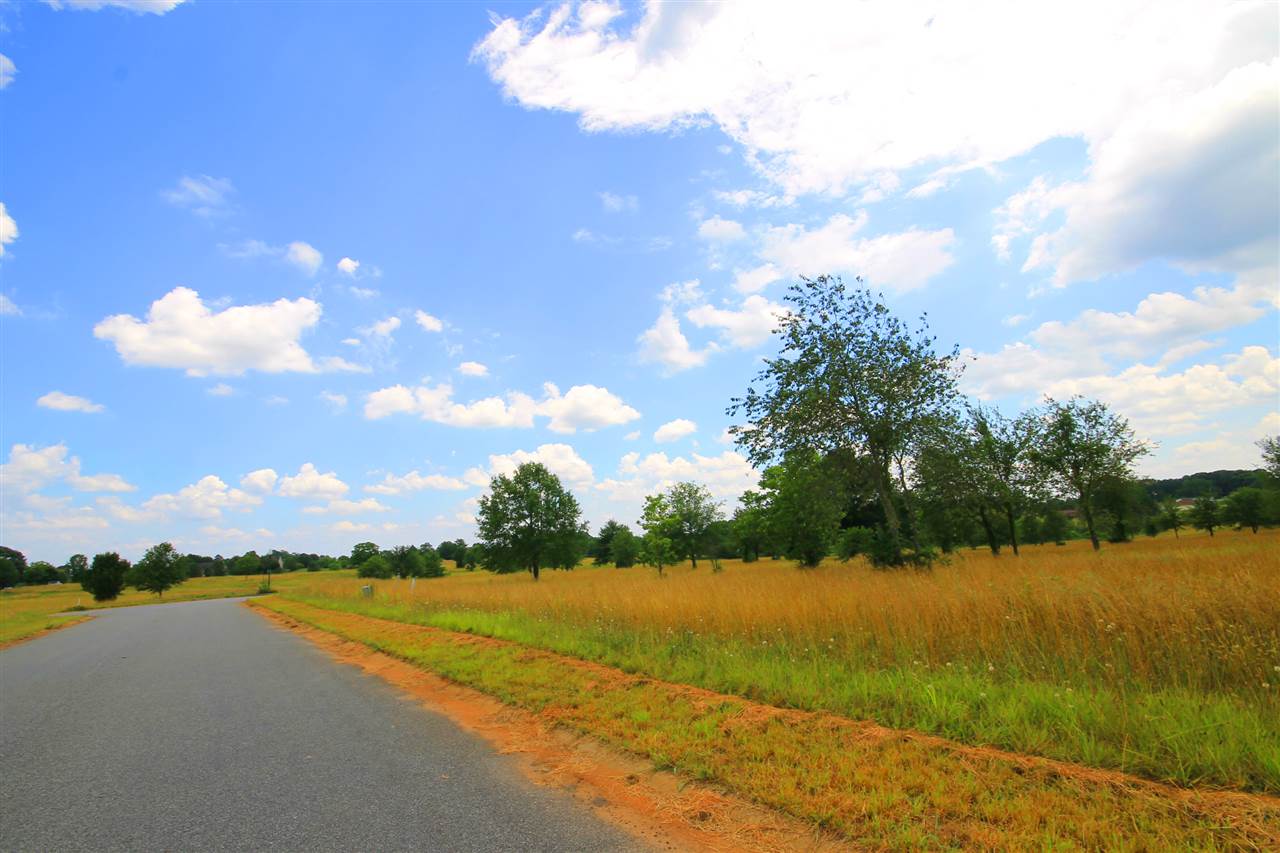 411 Bradburn Fields Inman, SC 29349 - Photo 8 of 13