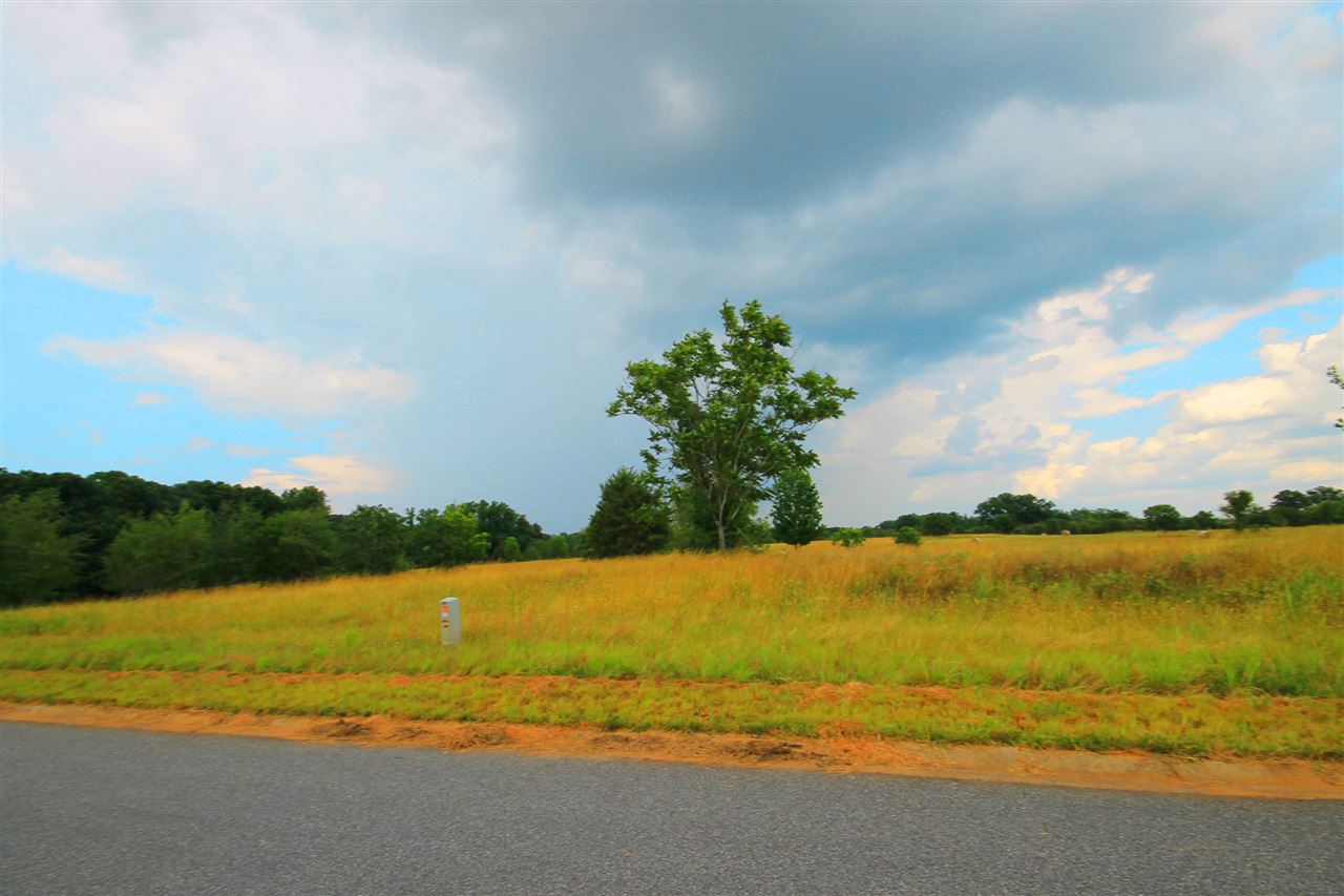 411 Bradburn Fields Inman, SC 29349 - Photo 9 of 13