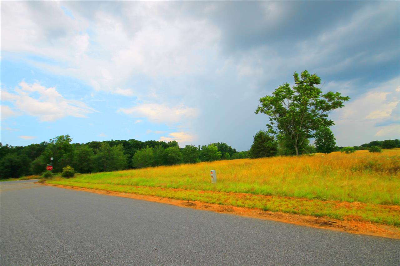 411 Bradburn Fields Inman, SC 29349 - Photo 10 of 13