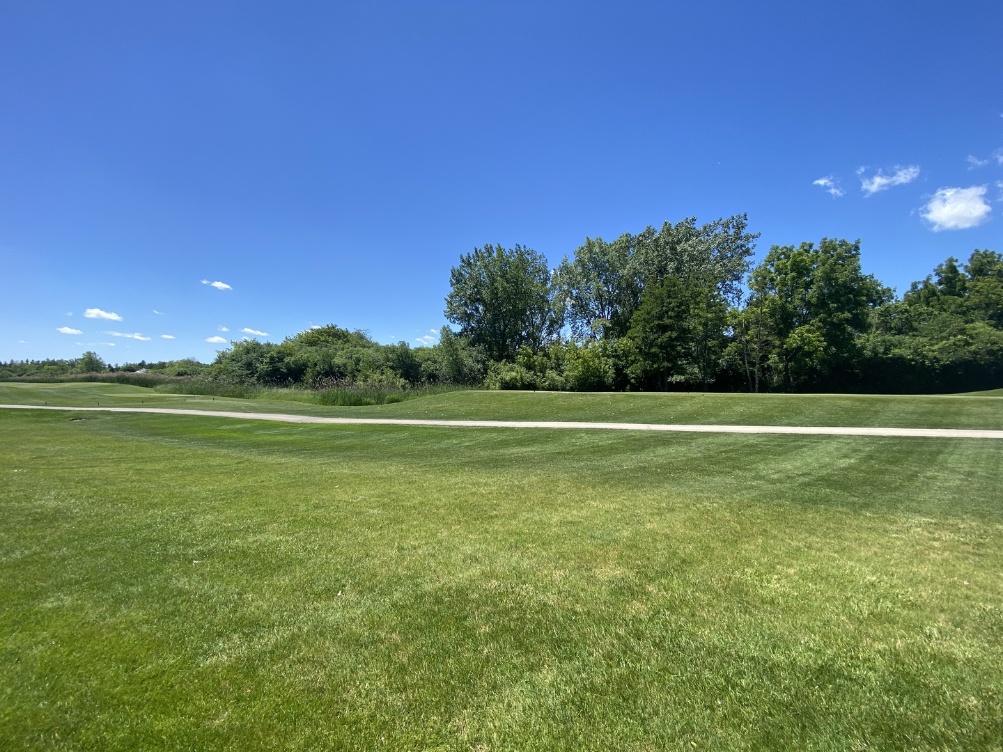 4454 Kettering Drive Long Grove, IL 60047 - Photo 44 of 44 a view of a green field