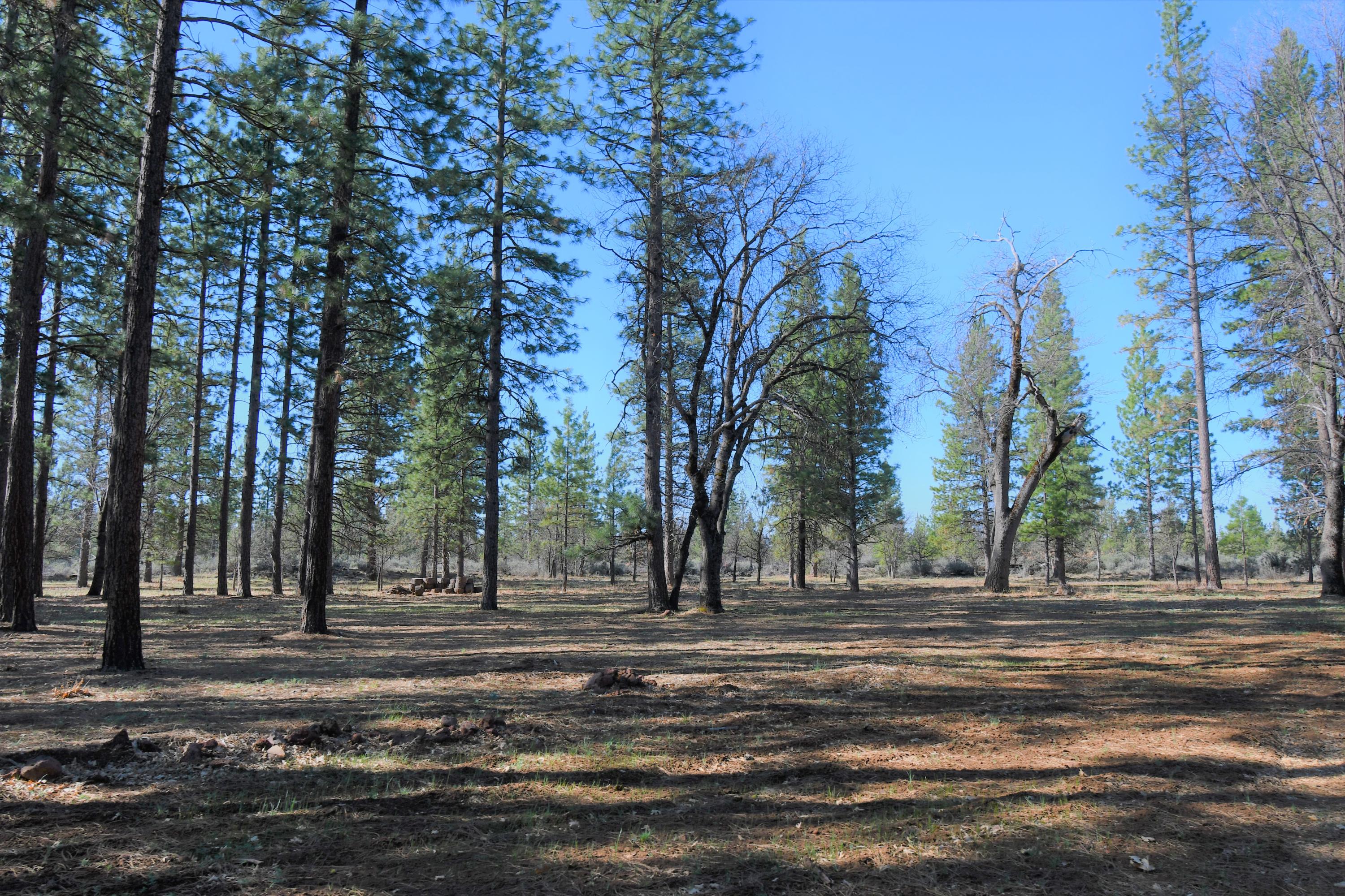 44900 Old Brown Ranch Road McArthur, CA 96056 - Photo 54 of 57 DSC_4803