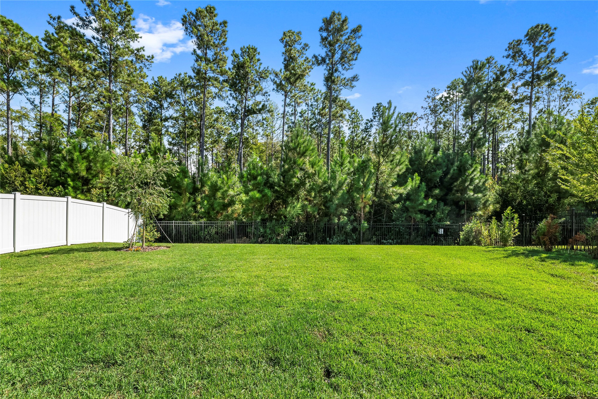 324 Sawgrass Drive Yulee, FL 32097 - Photo 39 of 52