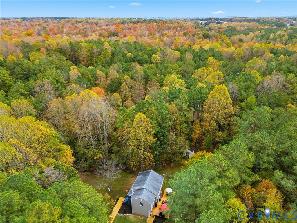 1111 Timber Trace Road Powhatan, VA 23139 - Photo 6 of 50 Gallery Image 6