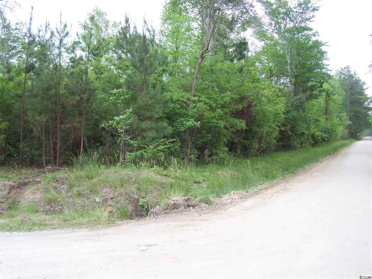 Rd Road Conway, SC 29527 - Photo 1 of 19 Gallery Image 1