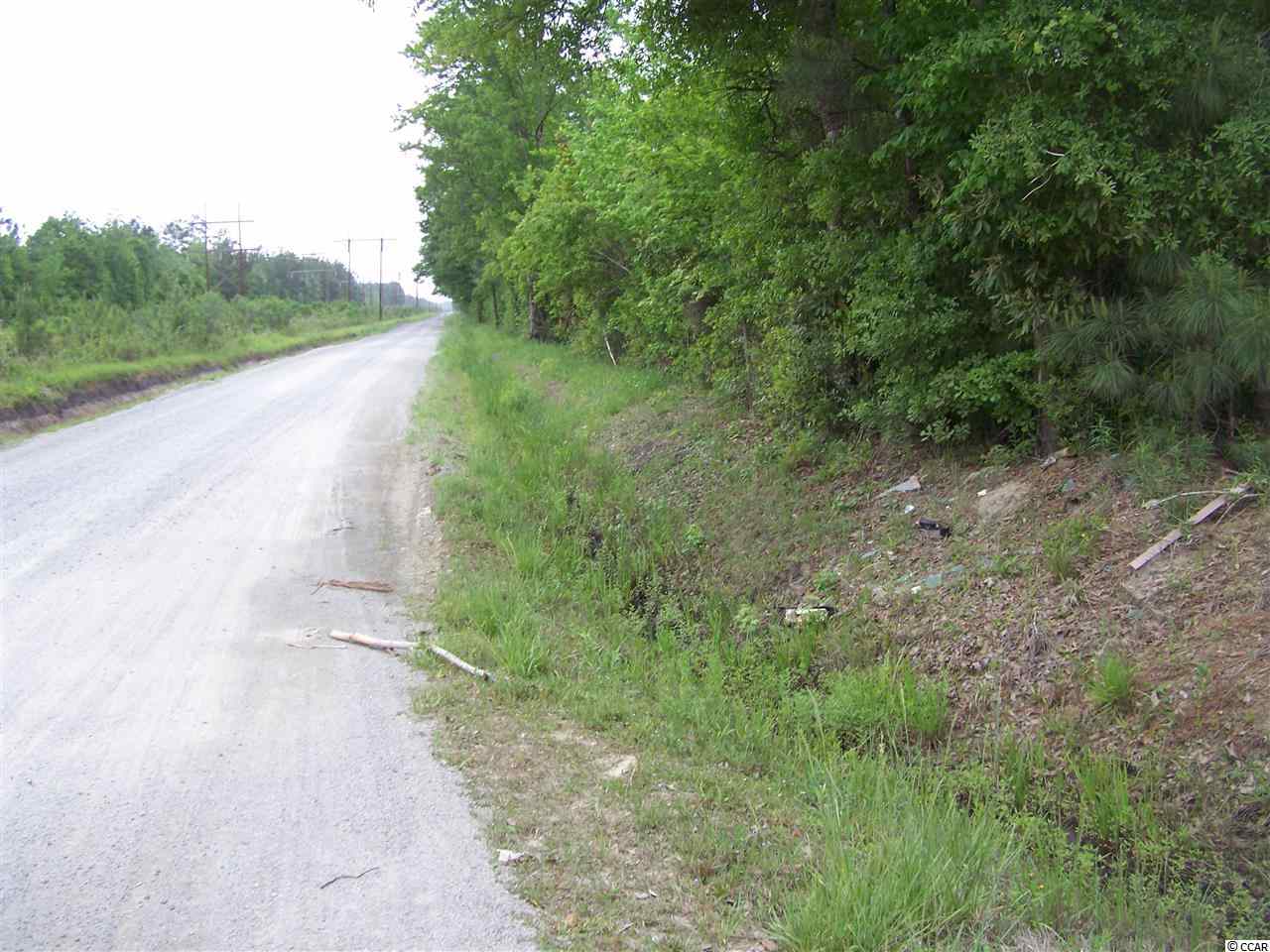 Rd Road Conway, SC 29527 - Photo 2 of 19 Gallery Image 2