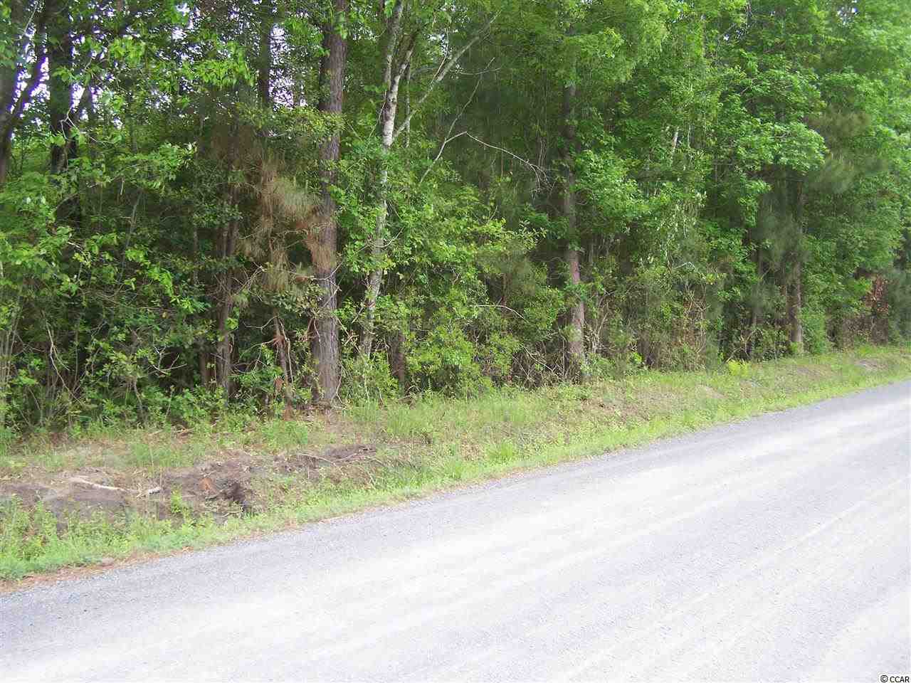 Rd Road Conway, SC 29527 - Photo 3 of 19 Gallery Image 3