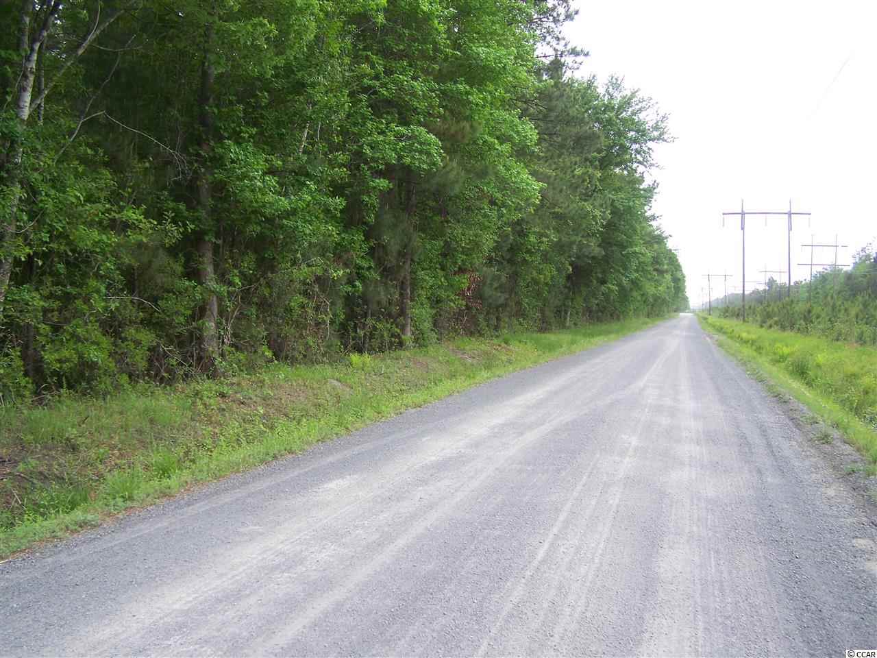 Rd Road Conway, SC 29527 - Photo 4 of 19 Gallery Image 4