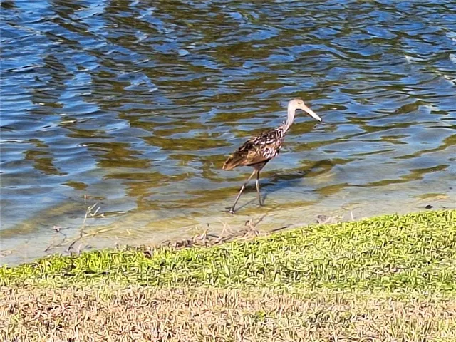 $340,000 | 10218 Barnett Loop, Port Richey, FL 34668