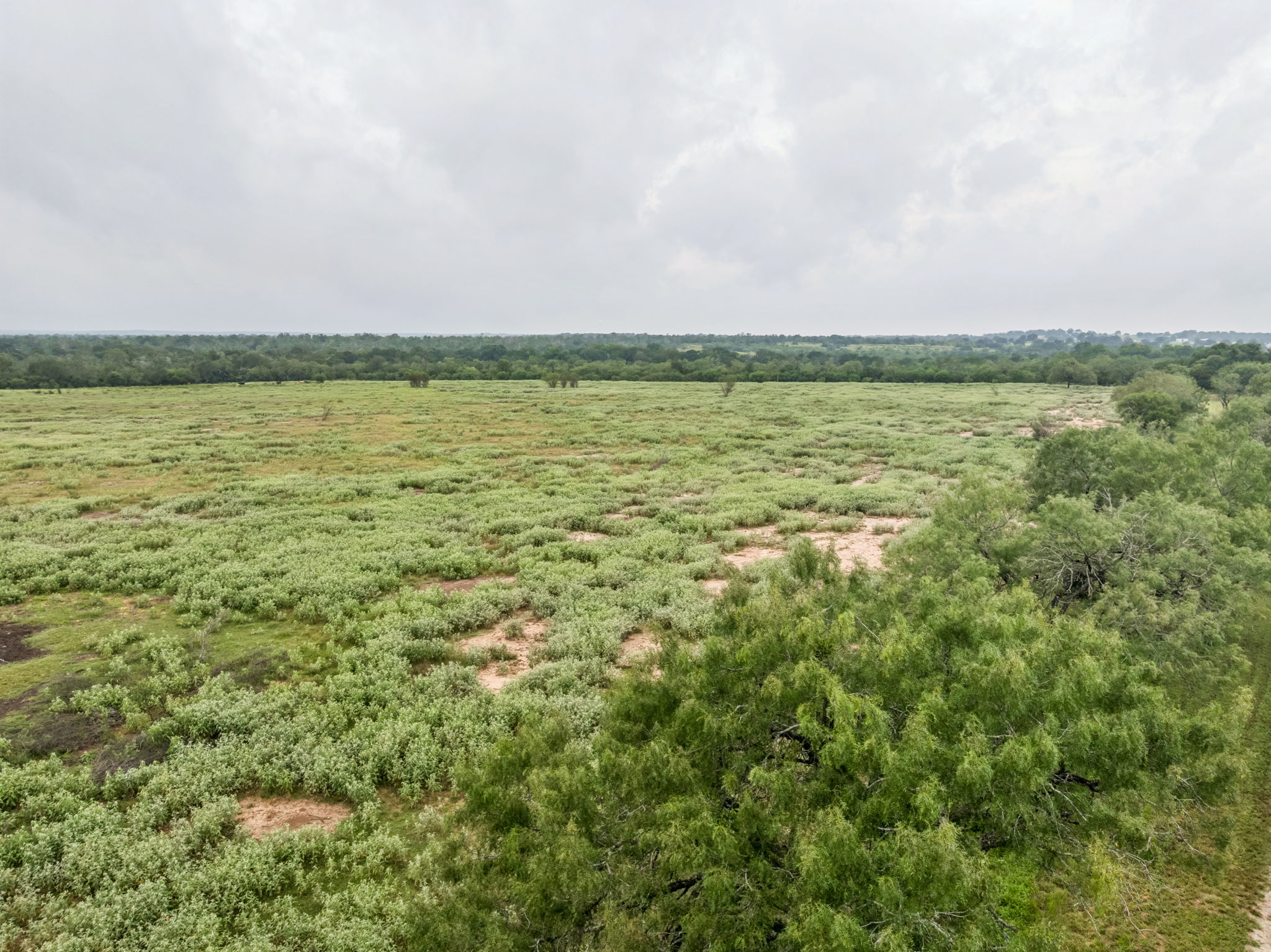 9611 Wilke Road Kingsbury, TX 78638 - Photo 21 of 23