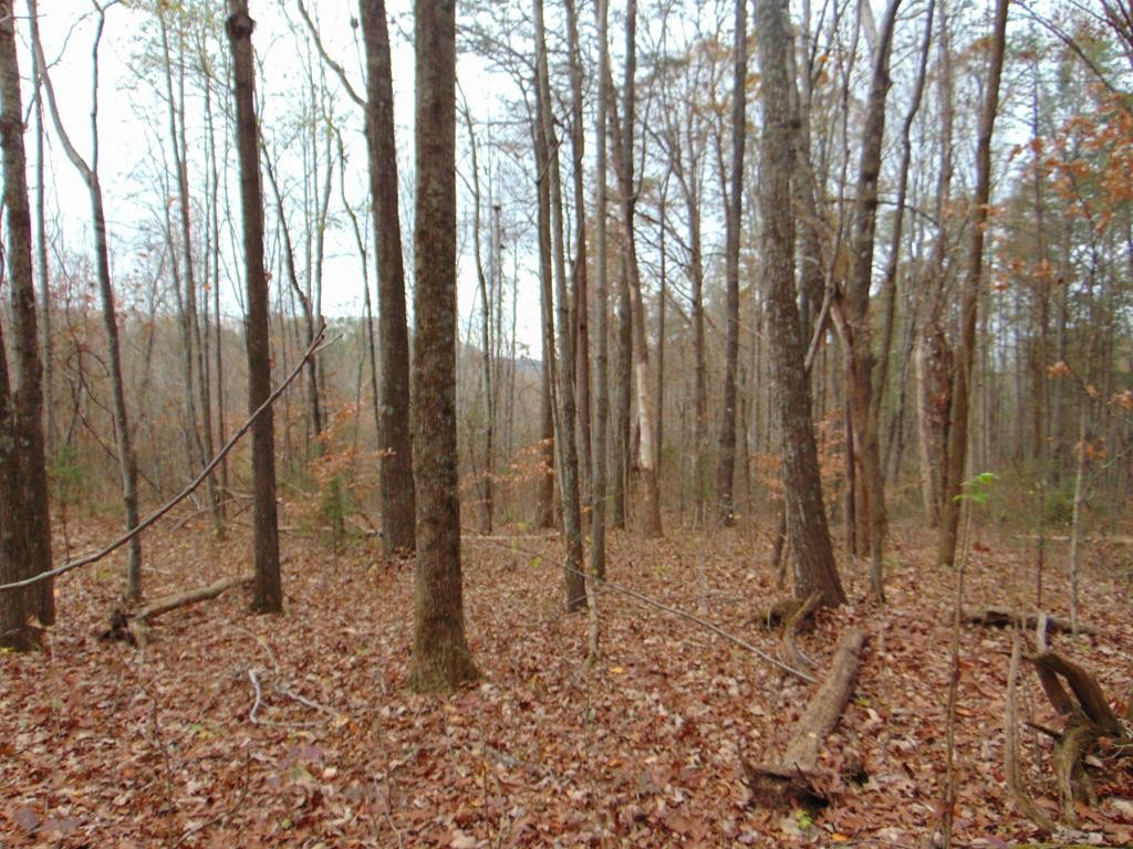 0 Bell Rattle Village Tellico Plains, TN 37385 - Photo 23 of 33