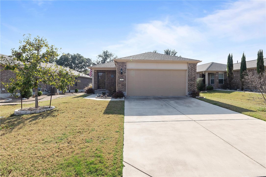 203 Kickapoo Creek Lane Georgetown, TX 78633 - Photo 1 of 1 Gallery Image 1