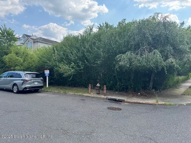a small garden covered with tall trees