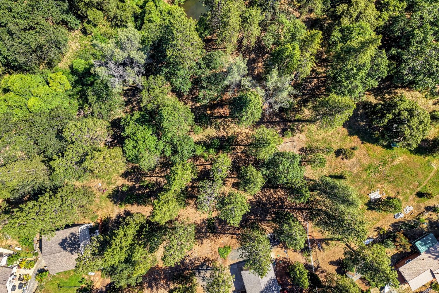 1205 Tokayana Ranch Lane Colfax, CA 95713 - Photo 55 of 60