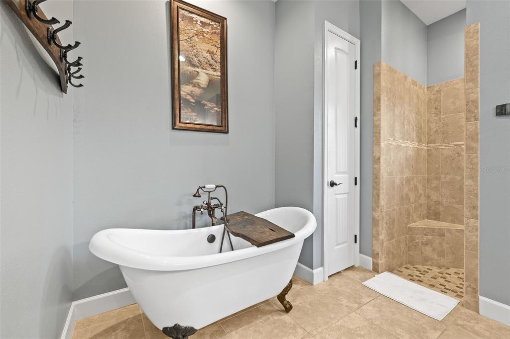 5319 West Trapnell Road Dover, FL 33527 - Photo 26 of 54