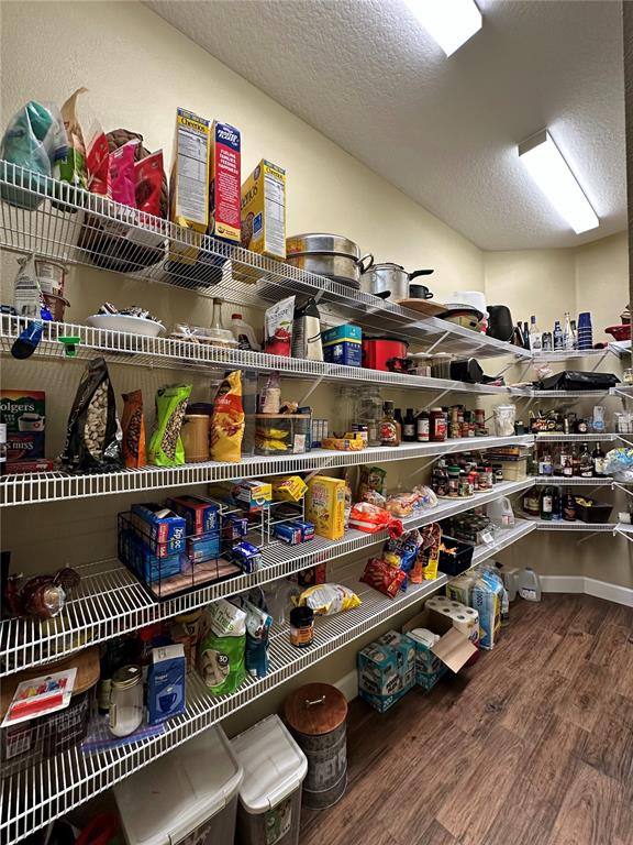 5319 West Trapnell Road Dover, FL 33527 - Photo 53 of 54