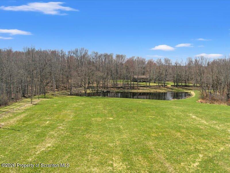 Field to pond