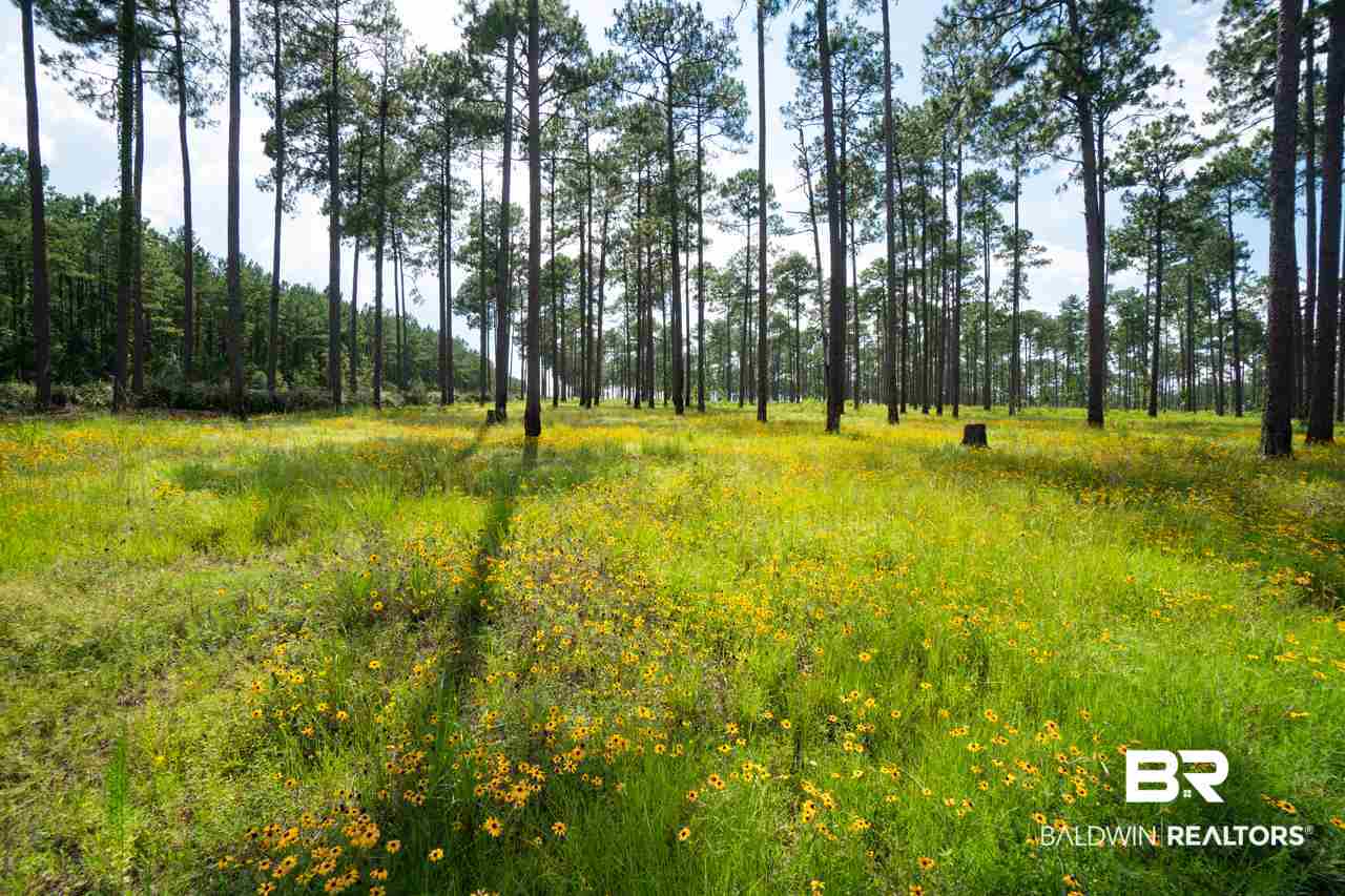 32552 Steelwood Ridge Road, Unit 4 Loxley, AL 36551 - Photo 49 of 50