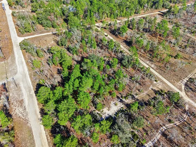a view of a yard with a tree
